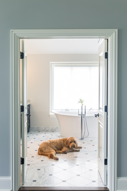 Happy dog enjoying heated bathroom floor